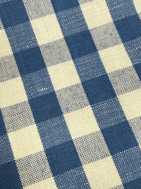 Close-up of blue and white checkered fabric