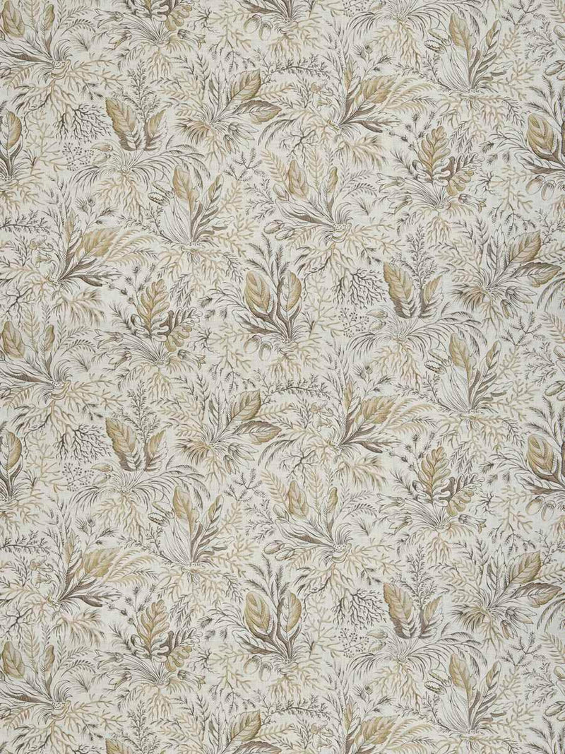 Provence Collection - 60665  Linen