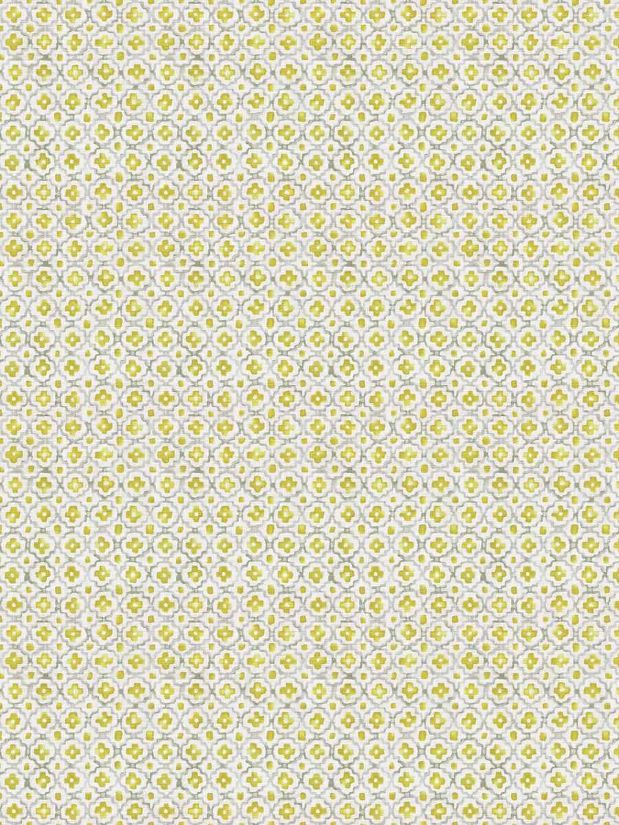 fabric swatch 74562 citrus