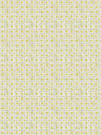 fabric swatch 74562 citrus