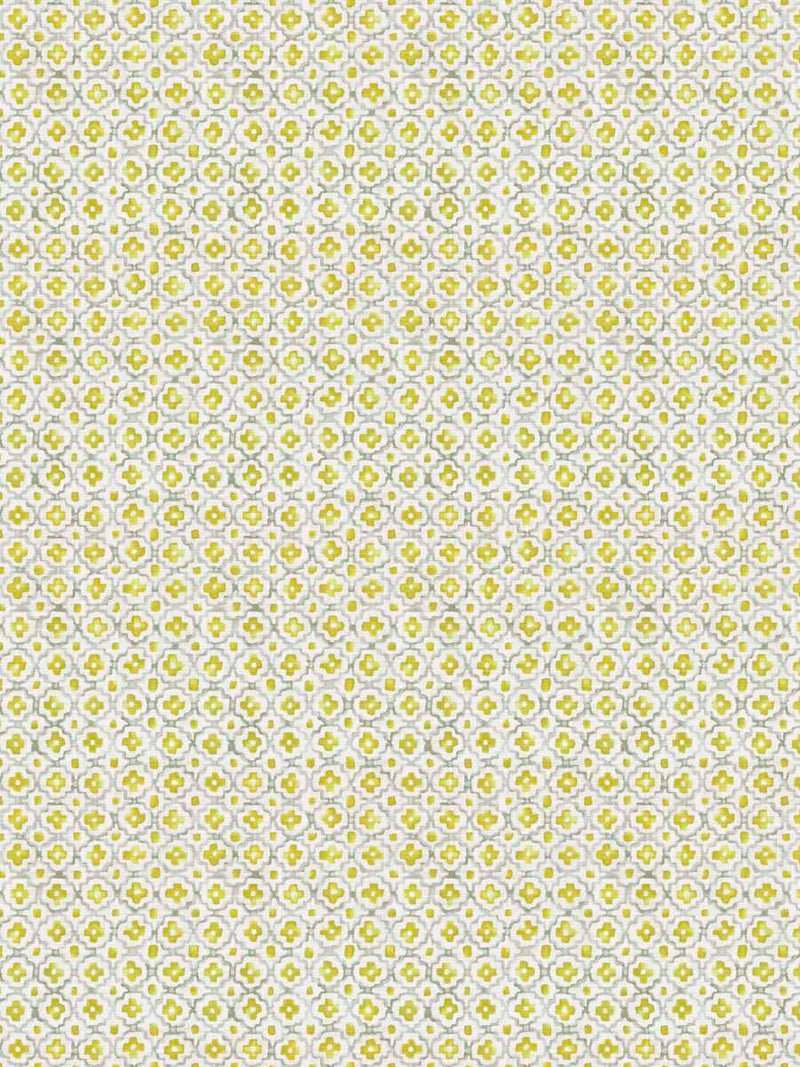 fabric swatch 74562 citrus