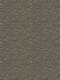 Fabric by the yard - Wonderland 15605 Truffle